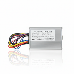 48V Controle box / Moederbord 1000W - Quad/Crosser