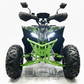 CarKiddo | Elektrische Quad 1500W - Groen