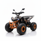 CarKiddo | Elektrische Kinderquad 1500W - Rood